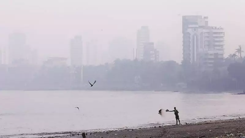 BMC Revives Ward Teams to Combat Mumbai Air Pollution, Halts Construction