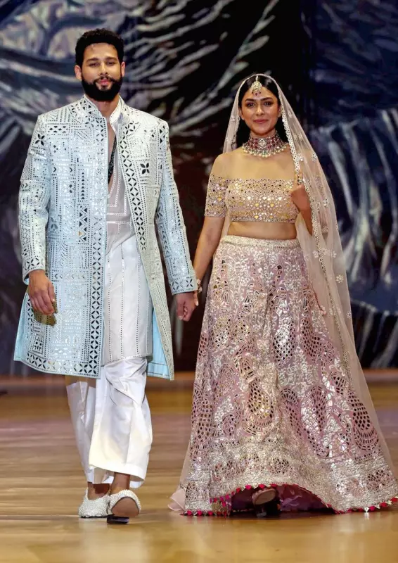 Bollywood's New Jodis 2026: Siddhant-Mrunal, Kartik-Sreeleela Lead Anticipated Pairs