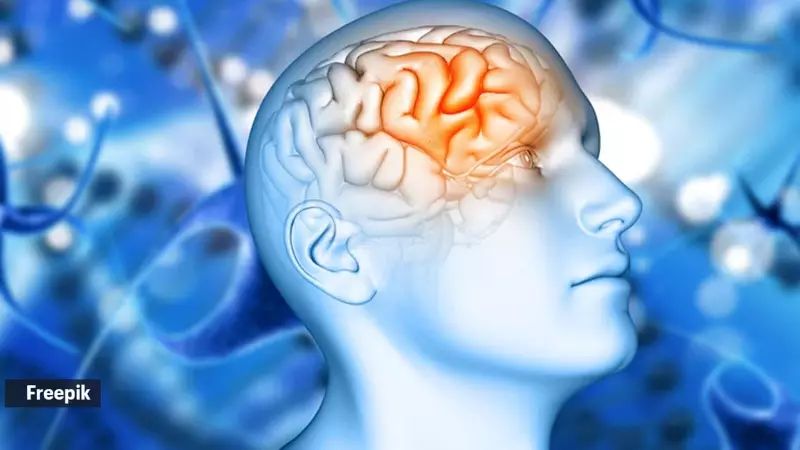 Brain's Waste Clearance System Failure Linked to Dementia Risk, Reveals Groundbreaking Study