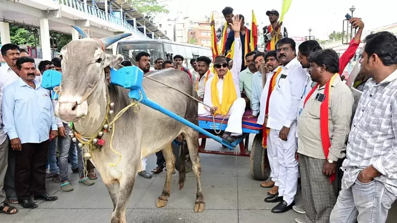 Bullock Cart Protest Rocks Bengaluru: Vatal Nagaraj Leads Charge Against City's Civic Collapse