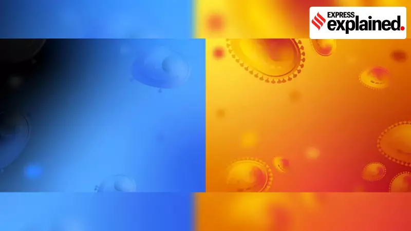 Cancer's Bullseye: How Scientists Are Painting Targets on Rogue Cells for Precision Destruction