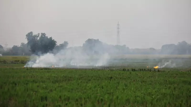 CAQM to Get Verified Stubble Burning Data by December with Satellite Tech