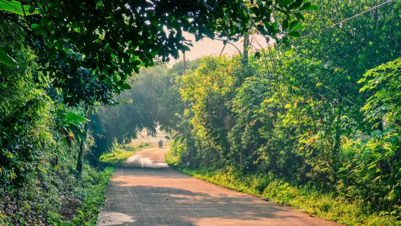 Centre Eases Forest Rules, Allows Govt & Private Entities to Restore Forests Without Compensatory Costs