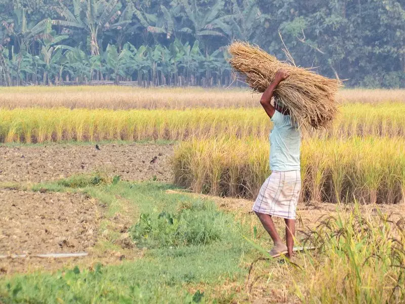 Centre Releases Rs 94 Crore for Uttarakhand Rural Local Bodies