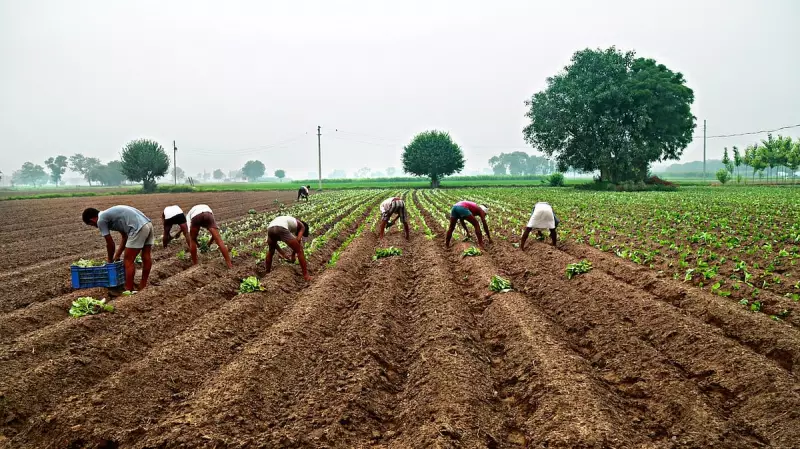 Centre's Seed Act Amendment Sparks Farmers' Rights Concerns