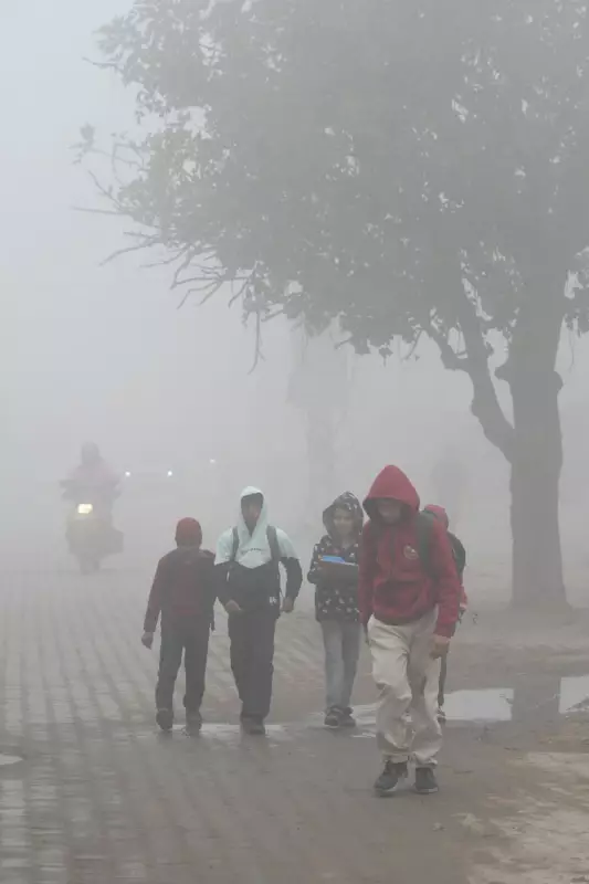 Chandigarh Braces for Dense Fog from Christmas Eve, IMD Issues Advisory