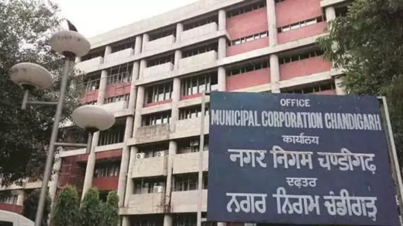 Chandigarh MC Cracks Down on Illegal Vendors, Seeks Police Cases Under BNS