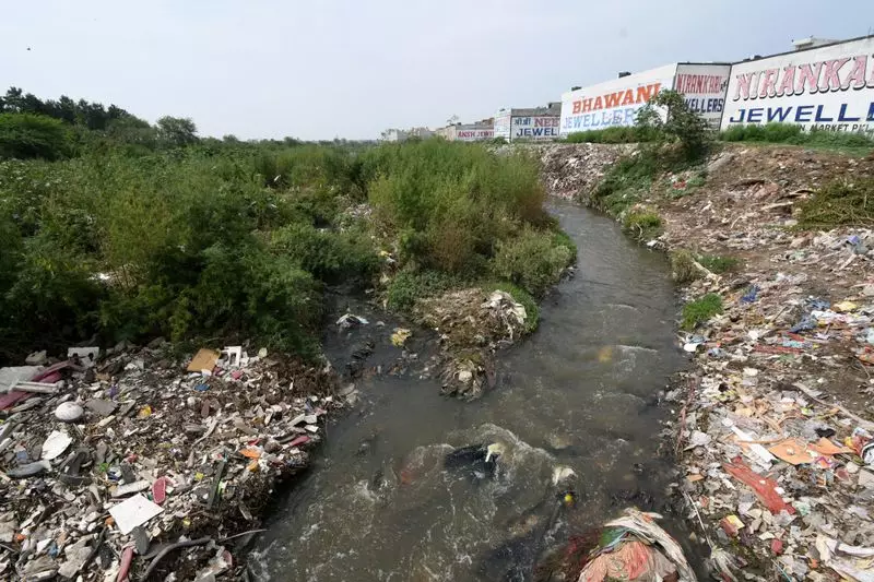 Chandigarh MP Raises Alarm in LS Over Choking Seasonal Streams