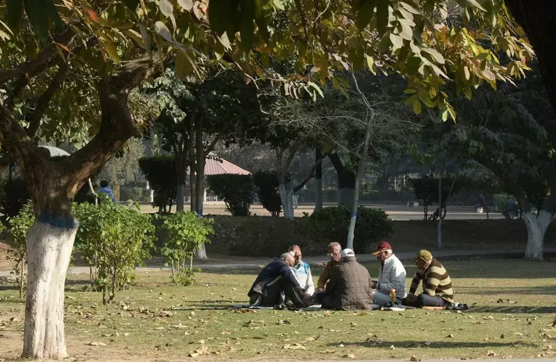 Chandigarh Tricity Weather: IMD Forecasts Warm Days, Fog for Next 3 Days