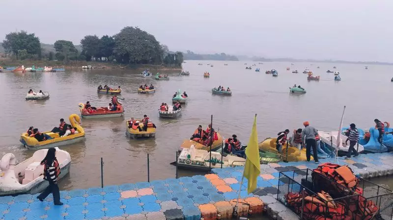 Chandigarh Welcomes First Sunny Day of 2025, Bringing Respite from Biting Cold