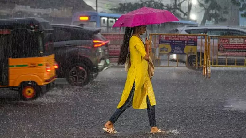 Chennai Weekend Alert: IMD Issues Heavy Rain Warning for December 10-11