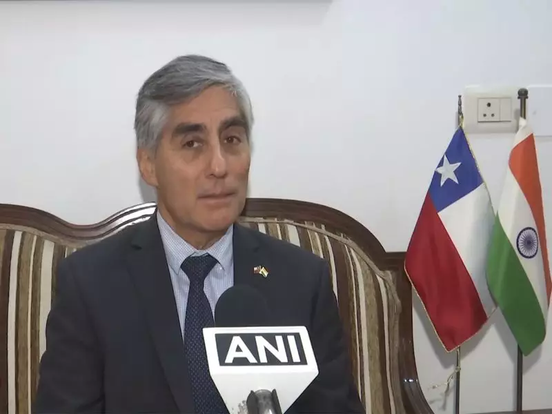 Chile Backs India's UNSC Permanent Seat Bid, Calls It Global Stabilizer