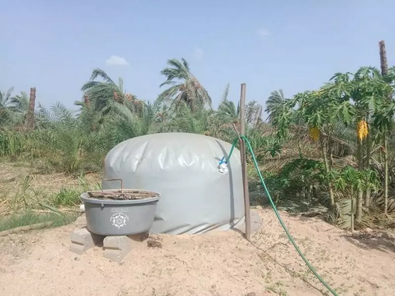 Clear Policy, Assured Offtake Key to Unlocking India's Decentralised Bio-CNG Potential