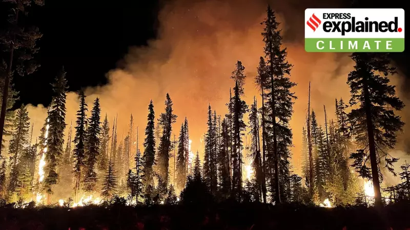 Climate Crisis Driven by Human Need & Greed: Yale Historian Sunil Amrith