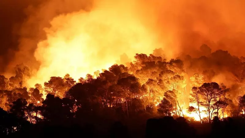 Climate Disasters Cost World Over $120 Billion in 2025, India-Pakistan Floods Hit Hard