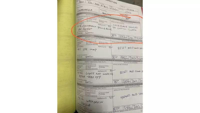 Cockroach 'Executed' in Air India Flight Logbook: Bizarre Incident Goes Viral, Sparks Hygiene Concerns