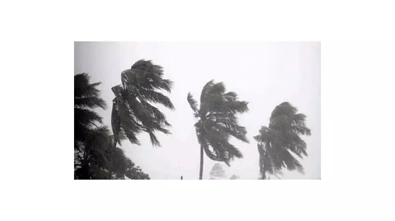 Cyclone Montha Alert: Andhra Pradesh Government Activates Comprehensive Relief Plan | Essential Supplies Guaranteed