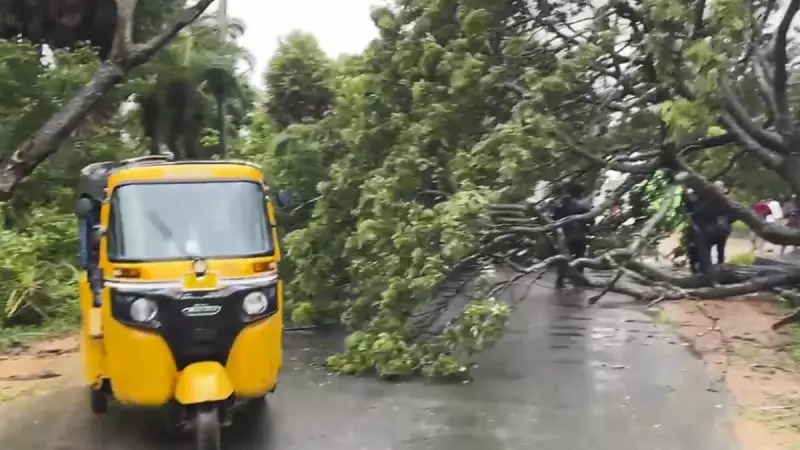 Cyclone Montha Batters Andhra Pradesh Coast: Heavy Rains, Destructive Winds Wreak Havoc