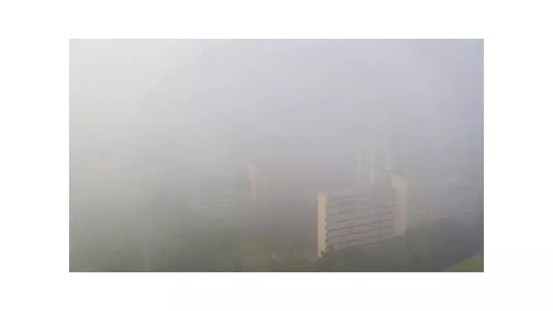 Delhi Airport Chaos: 228 Flights Cancelled, 5 Diverted Amid Dense Fog