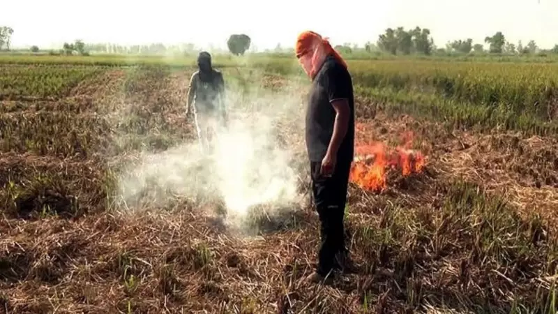 Delhi Chokes: BJP Leader Accuses AAP of Orchestrating Punjab Farm Fires to Sabotage Capital's Air Quality