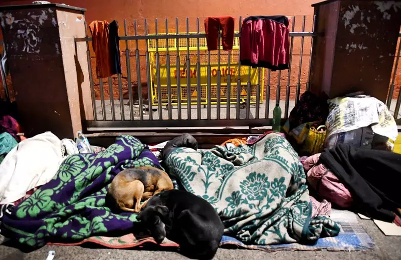 Delhi Cold Wave Intensifies: Temperature Dips to 3.4°C