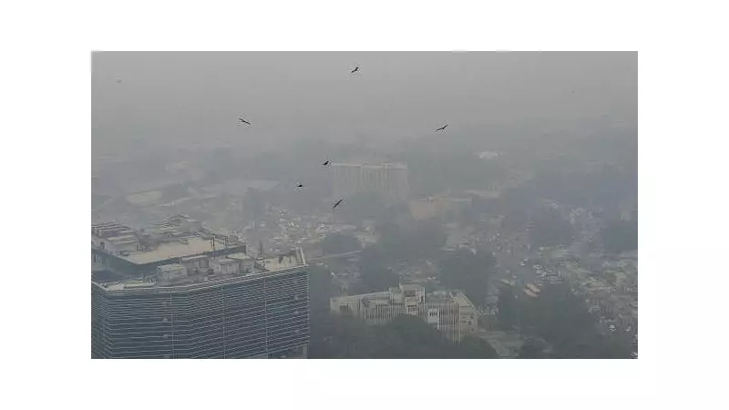 Delhi Fog Chaos: Over 270 Flights Delayed, 10 Cancelled at IGI Airport