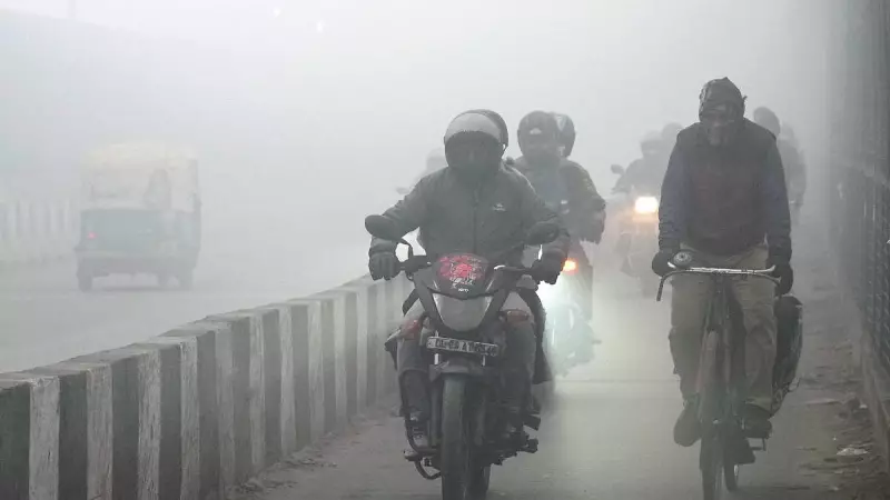 Delhi Fog Crisis: Visibility Drops to 50m, AQI at Severe 384