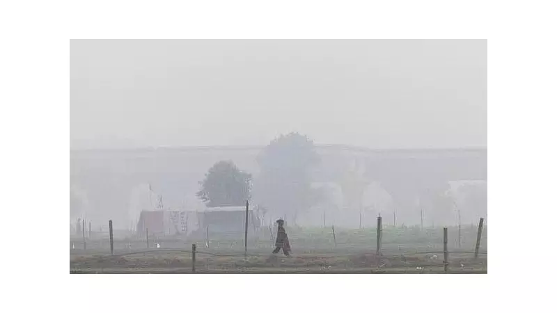 Delhi HC Slams Govt Over No Tax Relief on Air Purifiers Amid Pollution Crisis