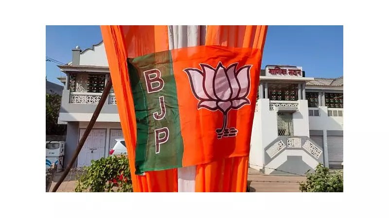 Delhi MCD Bypolls 2025: BJP Wins Majority But Loses Key Wards to AAP, Congress