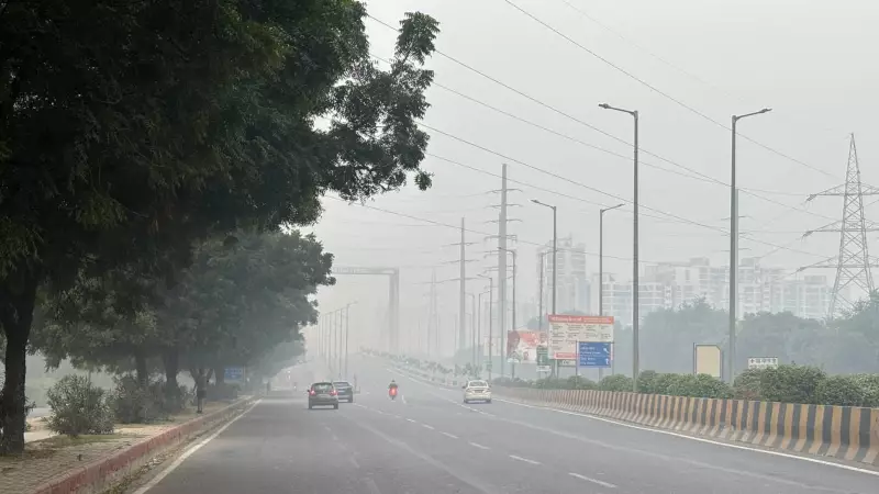 Delhi NCR Chokes: Air Quality Plunges to 'Severe' Levels, Anand Vihar Worst Hit | Health Alert Issued