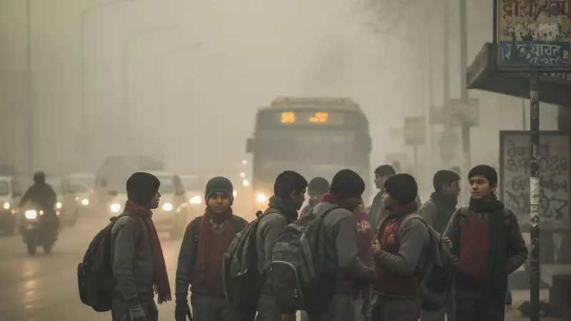 Delhi-NCR, UP Schools Shut for 3 Days as Cold Wave, Dense Fog Grip Region