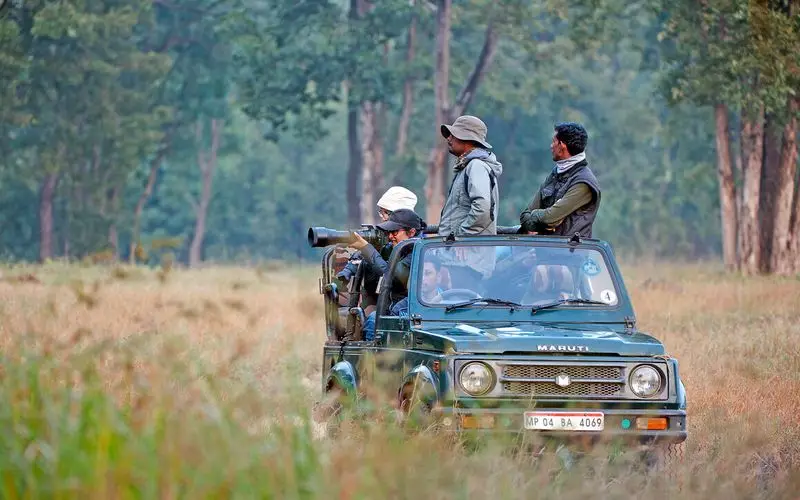 Delhi Police Busts Pan-India Jungle Safari Permit Racket, Two Arrested in Major Crackdown