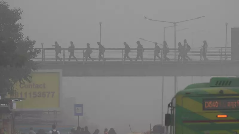 Delhi Red Alert: IMD Issues Warning as Dense Fog Disrupts North India