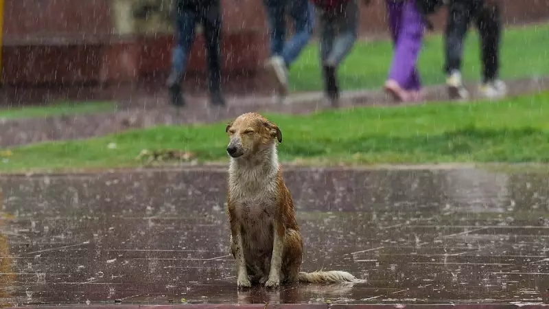 Delhi Set for Historic Artificial Rain Trial on October 29 to Combat Pollution Crisis