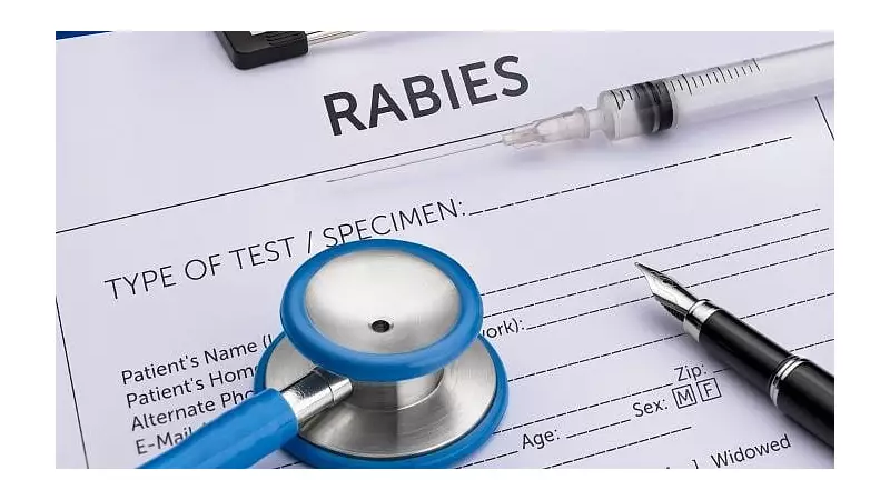 Delhi to Declare Human Rabies a Notifiable Disease: Key Move After Court Order