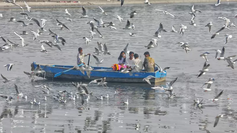 Delhi Tops India's PM2.5 Pollution, 60% Districts Breach Standards