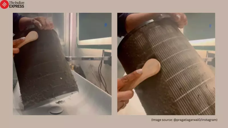 Delhi Woman's Air Purifier Spa Day Exposes City's Toxic Air Crisis