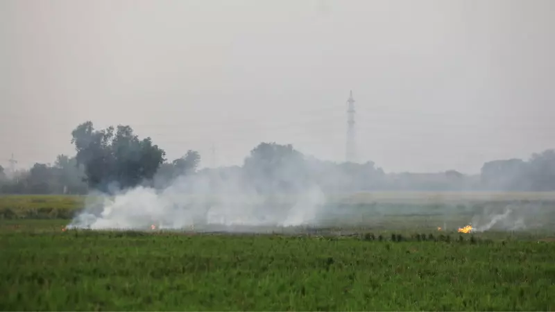 Delhi's Air Quality Bounces Back: Fastest Post-Diwali Recovery in a Decade Recorded