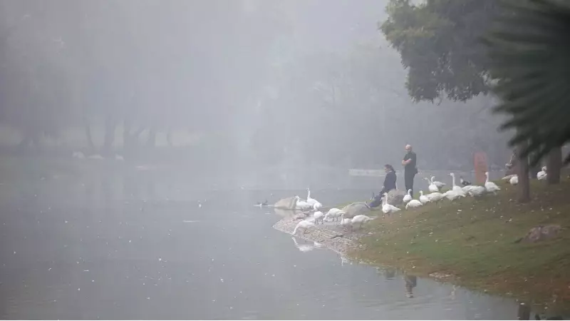 Delhi's Air Quality Crisis: Capital Ranks as 6th Most Polluted City in India During October