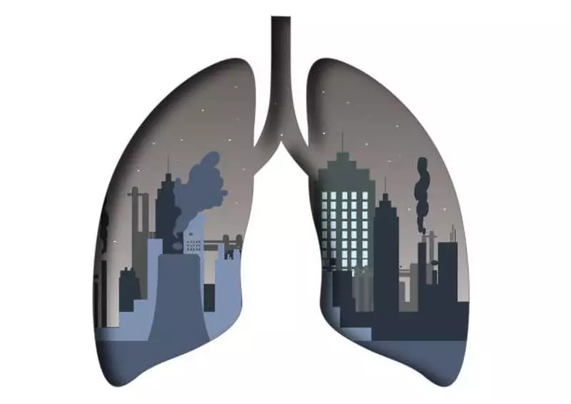 Delhi's Dust Crackdown: 800+ Construction Sites Shuttered in Major Pollution Drive