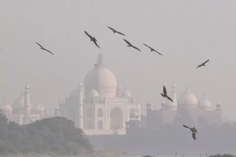 Delhi's Severe Smog Hours Tripled Post Punjab-Haryana Groundwater Act: Study