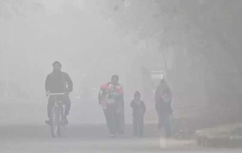 Dense Fog Blankets Tricity, IMD Issues 2-Day Alert for Chandigarh, Panchkula, Mohali