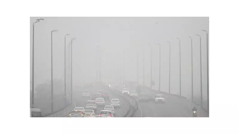 Dense Fog Cripples Delhi Airport: 118 Flights Cancelled, 16 Diverted