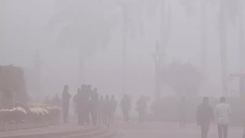 Dense Fog Disrupts Delhi Airport, Cancels 10 Flights