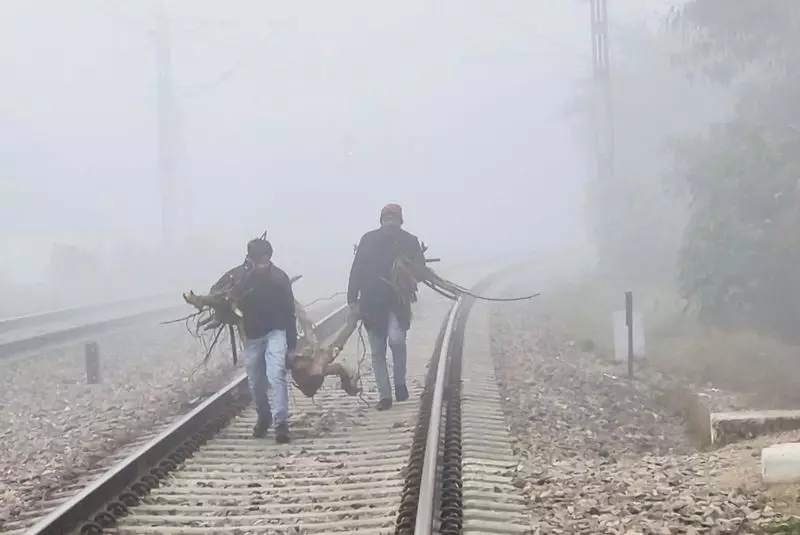 Dense Fog Disrupts North India: Delhi, Punjab, Haryana Worst Hit