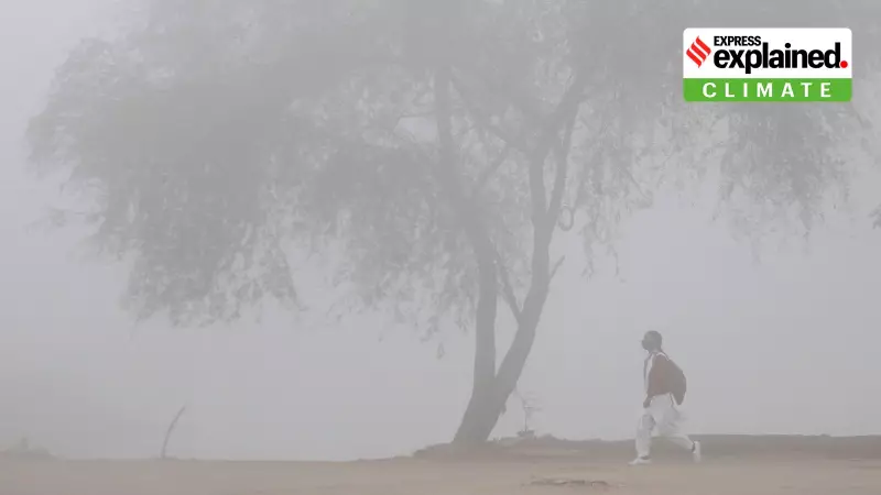 Dense Fog Grips Punjab, Haryana, Chandigarh: IMD Alert Till Dec 27, Cold Day Conditions