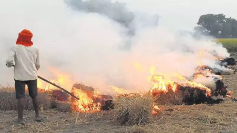 Diwali Dilemma: Haryana Farmer Faces FIR for Stubble Burning During Festival Season