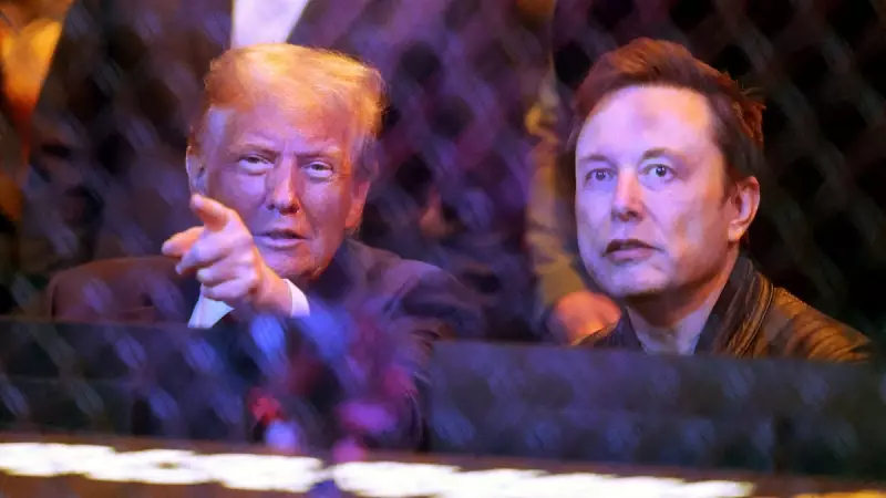 DOGE Charter Expires in 8 Months: What's Next?