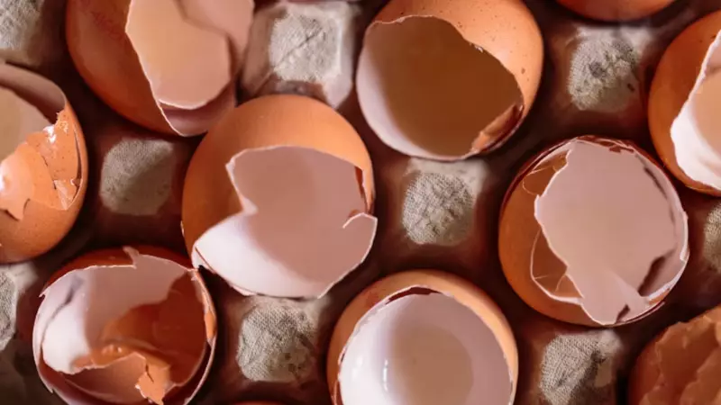 Don't Toss Those Eggshells! 6 Brilliant Household Uses You Never Imagined