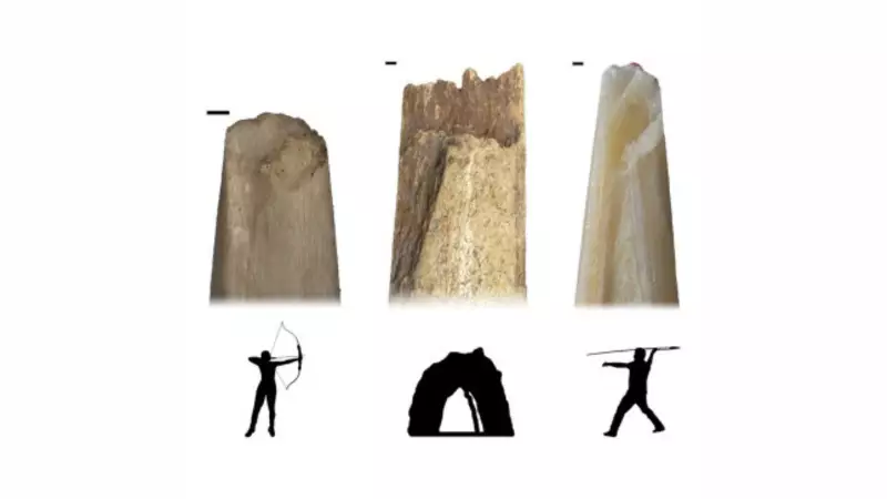 Early Humans Were Versatile Engineers: Bows & Spears Used Together